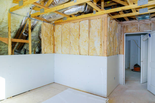 Best Insulation Replacement Services  in Muleshoe, TX